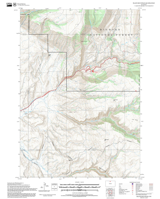 2025 Forest Service Topo Map of Black Mountain Wyoming