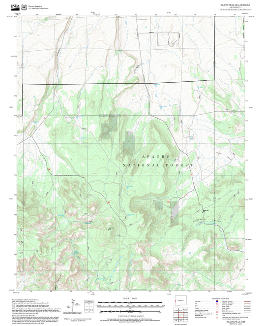 2025 Forest Service Topo Map of Black Peak New Mexico