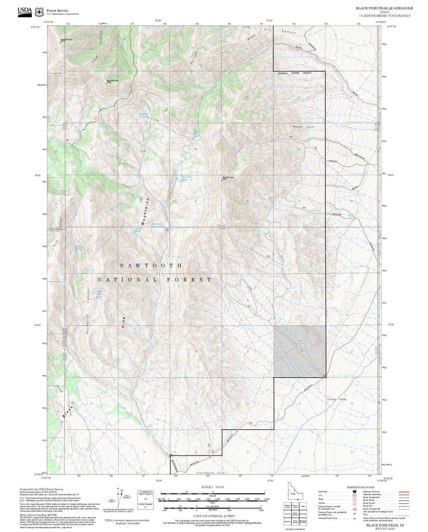 2025 Forest Service Topo Map of Black Pine Peak Idaho