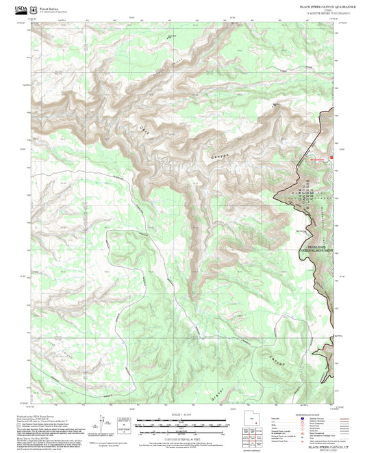 2025 Forest Service Topo Map of Black Steer Canyon Utah