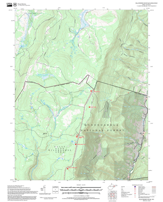 2025 Forest Service Topo Map of Blackbird Knob West Virginia