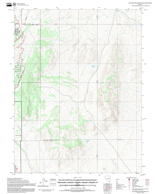 2025 Forest Service Topo Map of Blackjack Springs Nevada