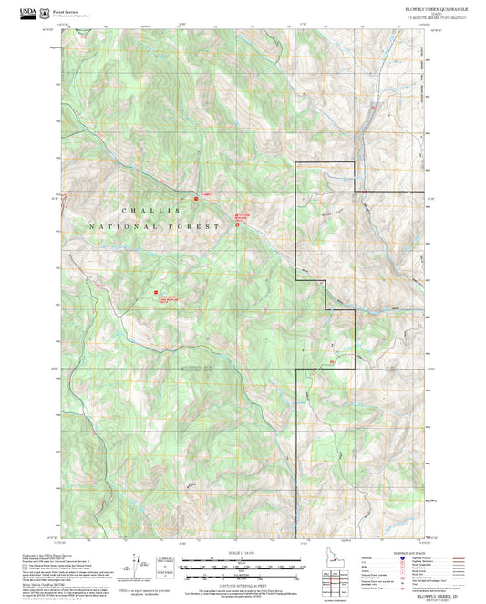 2025 Forest Service Topo Map of Blowfly Creek Idaho