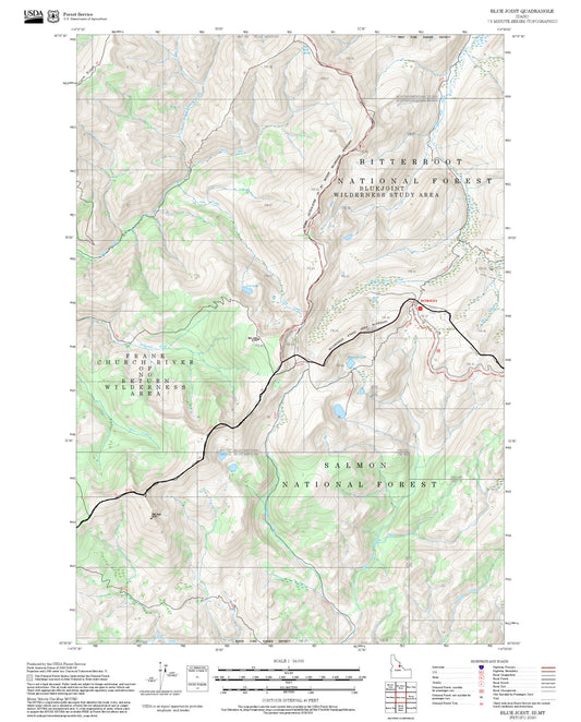 2025 Forest Service Topo Map of Blue Joint Idaho