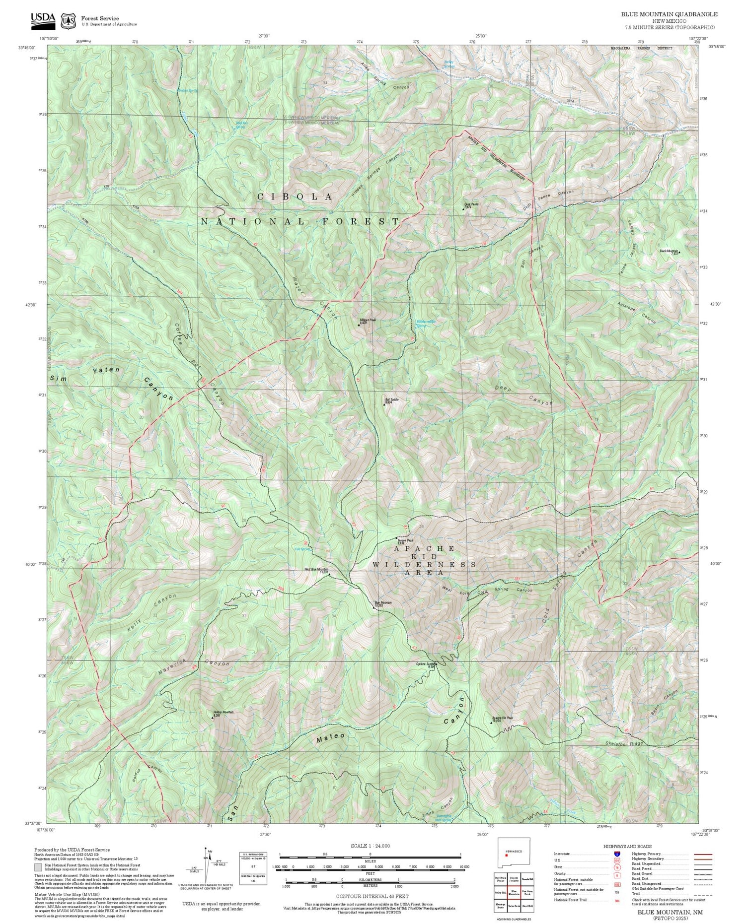 2025 Forest Service Topo Map of Blue Mountain New Mexico
