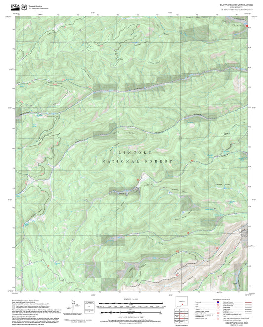 2025 Forest Service Topo Map of Bluff Springs New Mexico