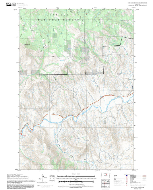 2025 Forest Service Topo Map of Bologna Basin Oregon