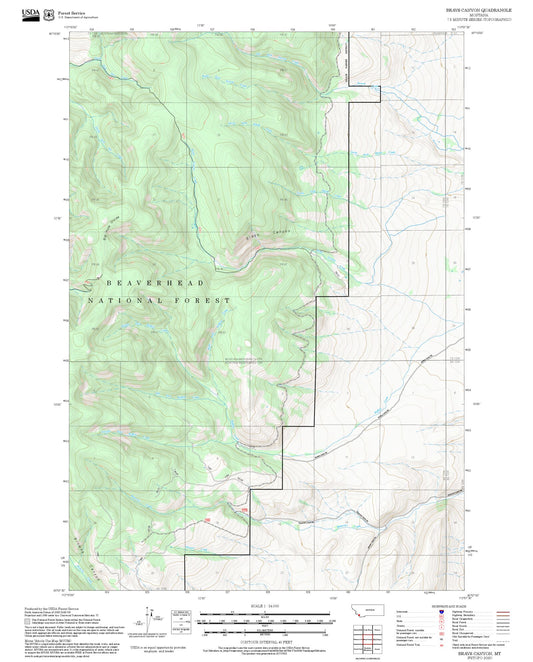 2025 Forest Service Topo Map of Brays Canyon Montana