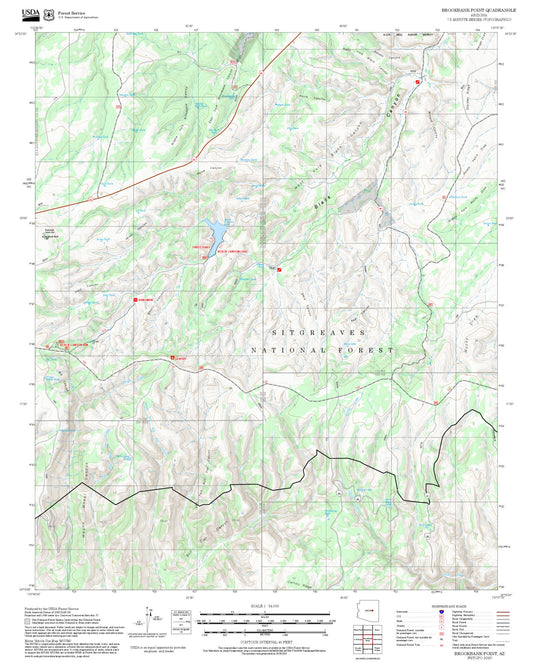2025 Forest Service Topo Map of Brookbank Point Arizona