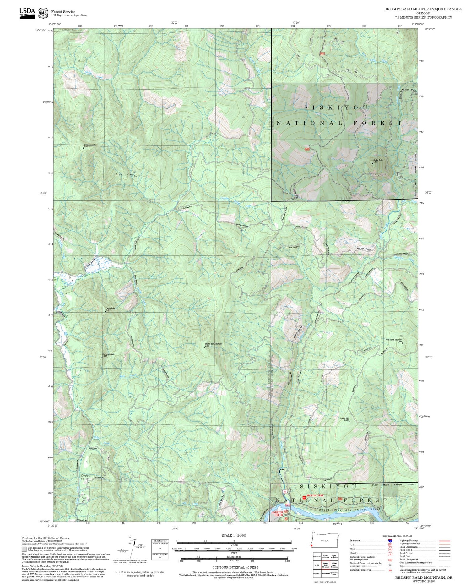 2025 Forest Service Topo Map of Brushy Bald Mountain Oregon