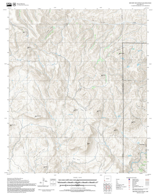 2025 Forest Service Topo Map of Brushy Mountain New Mexico