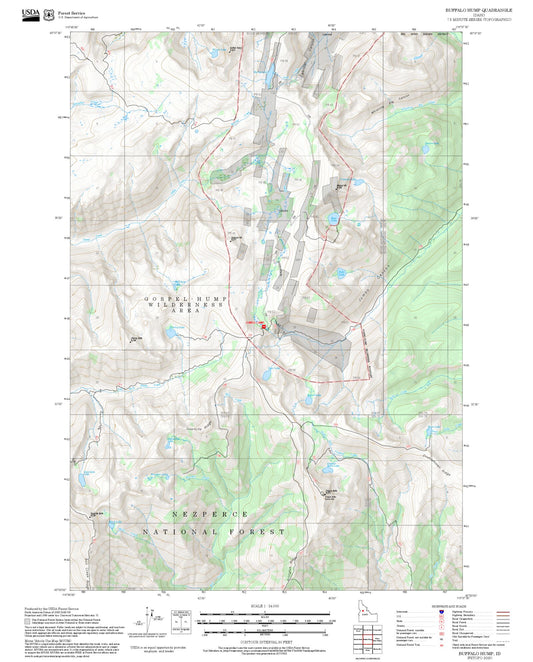 2025 Forest Service Topo Map of Buffalo Hump Idaho