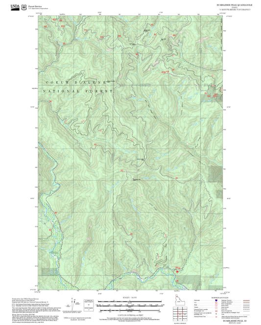 2025 Forest Service Topo Map of Bumblebee Peak Idaho