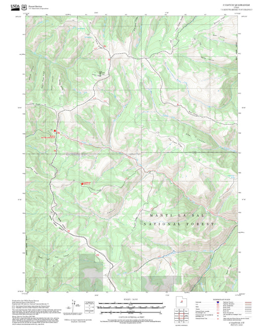 2025 Forest Service Topo Map of C Canyon Utah