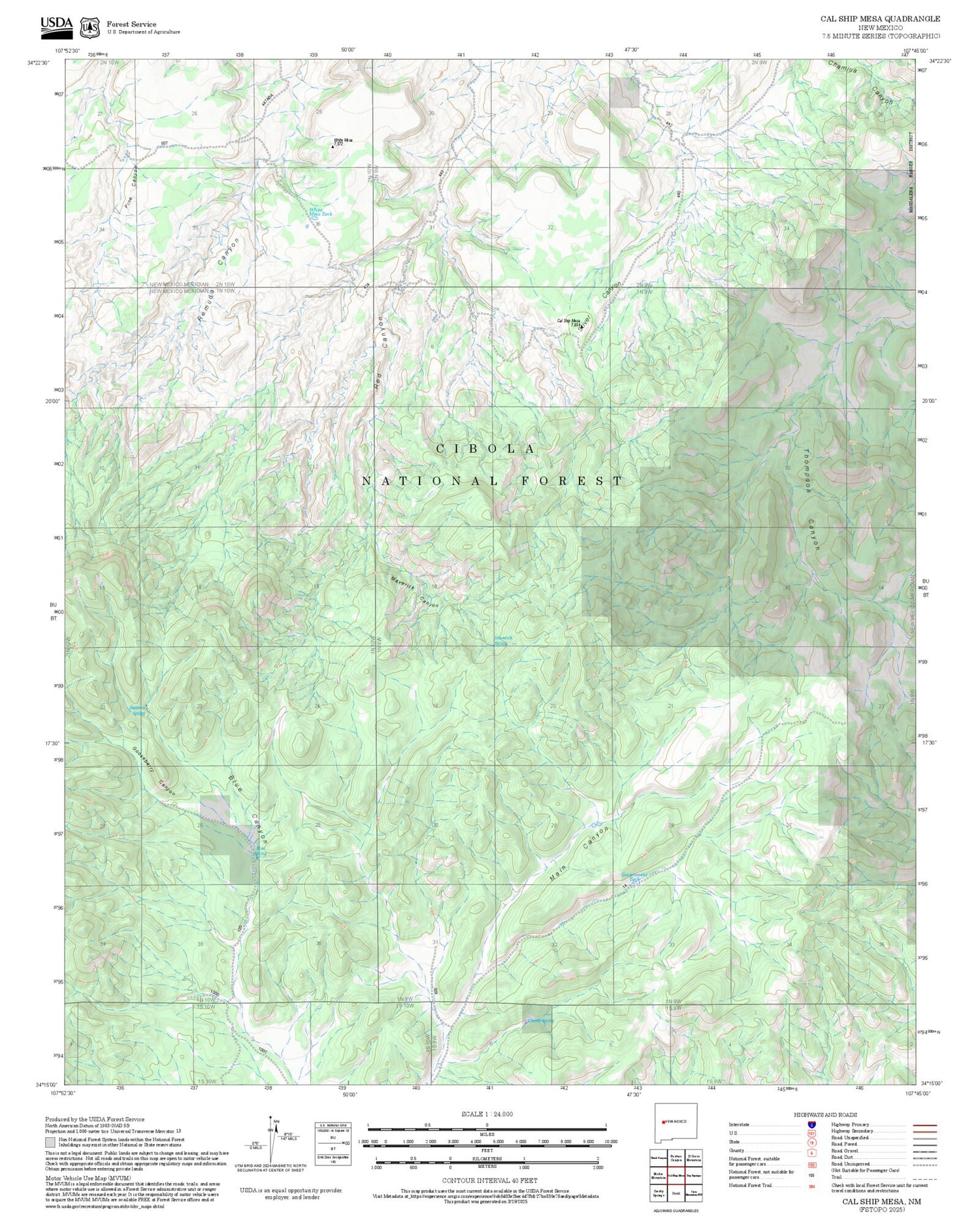 2025 Forest Service Topo Map of Cal Ship Mesa New Mexico