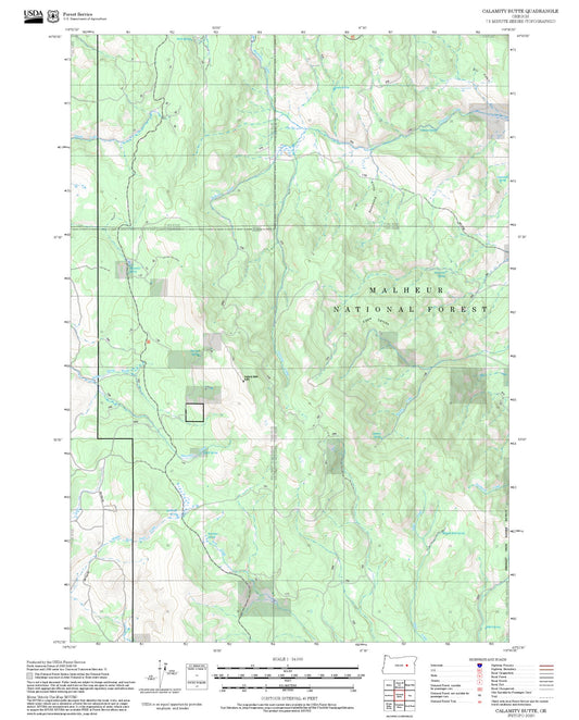 2025 Forest Service Topo Map of Calamity Butte Oregon