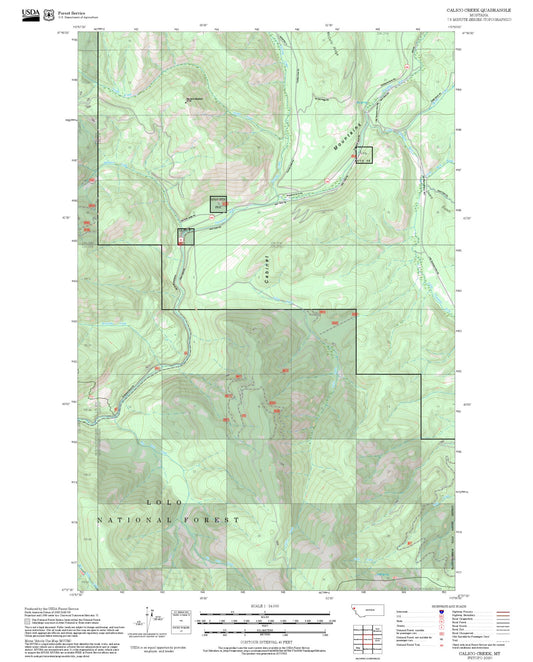 2025 Forest Service Topo Map of Calico Creek Montana