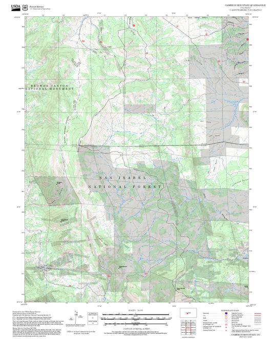 2025 Forest Service Topo Map of Cameron Mountain Colorado