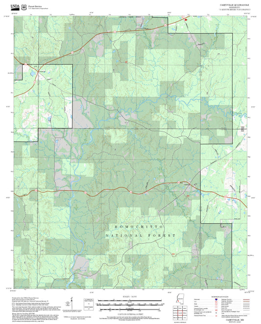 2025 Forest Service Topo Map of Caseyville Mississippi