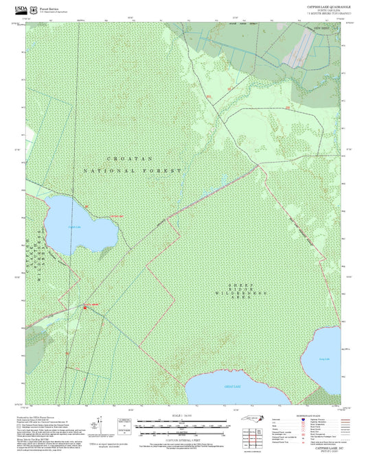 2025 Forest Service Topo Map of Catfish Lake North Carolina