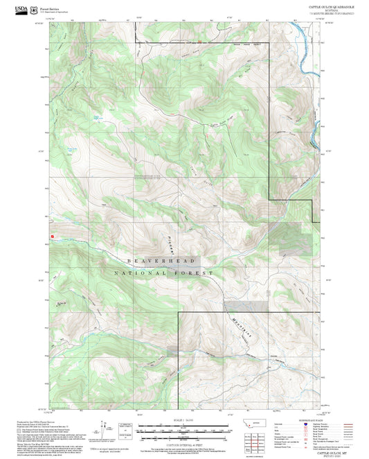 2025 Forest Service Topo Map of Cattle Gulch Montana