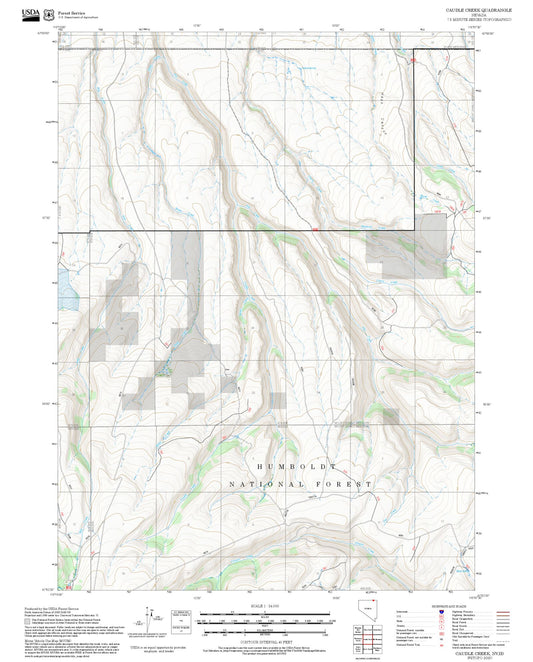 2025 Forest Service Topo Map of Caudle Creek Nevada