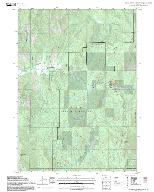 2025 Forest Service Topo Map of Cedar Springs Mountain Oregon