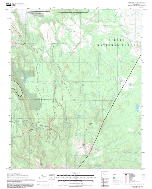 2025 Forest Service Topo Map of Cerro Pelon New Mexico