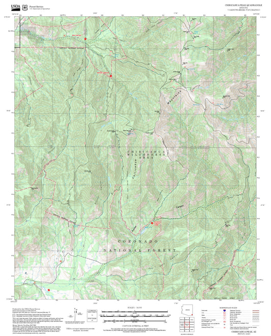 2025 Forest Service Topo Map of Chiricahua Peak Arizona