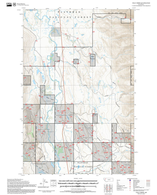 2025 Forest Service Topo Map of Cilly Creek Montana