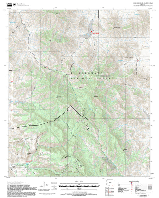 2025 Forest Service Topo Map of Cochise Head Arizona