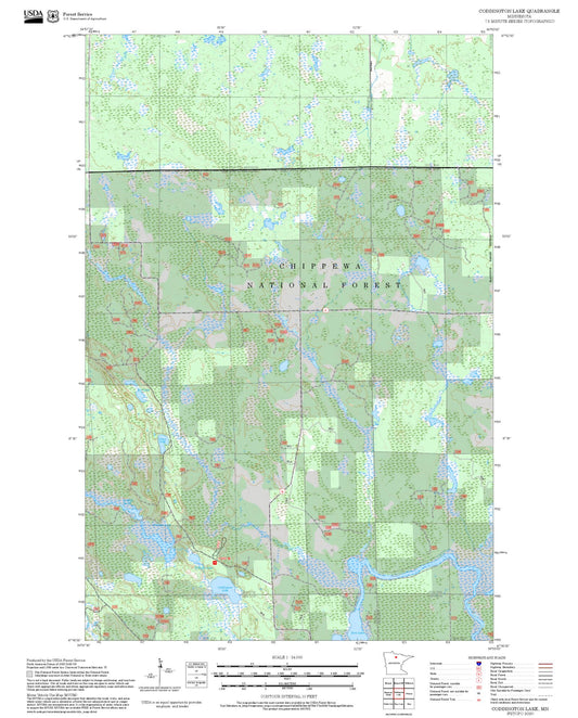 2025 Forest Service Topo Map of Coddington Lake Minnesota