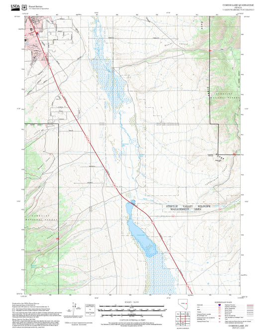 2025 Forest Service Topo Map of Comins Lake Nevada