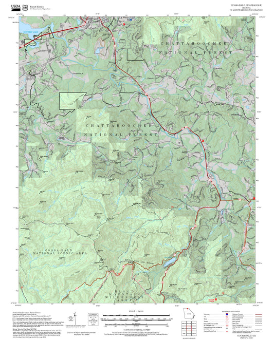 2025 Forest Service Topo Map of Coosa Bald Georgia