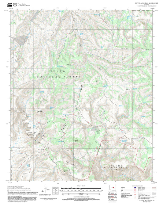 2025 Forest Service Topo Map of Copper Mountain Arizona