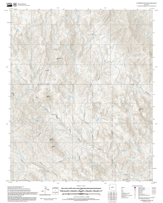 2025 Forest Service Topo Map of Copperopolis Arizona