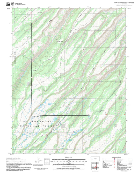 2025 Forest Service Topo Map of Cottonwood Basin Colorado