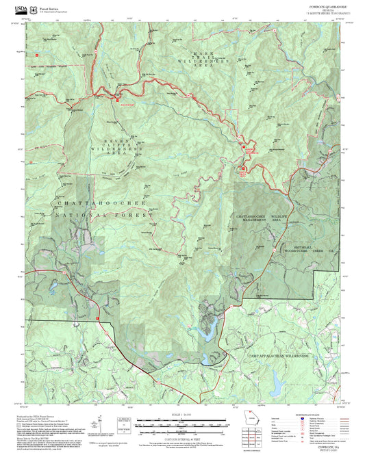 2025 Forest Service Topo Map of Cowrock Georgia