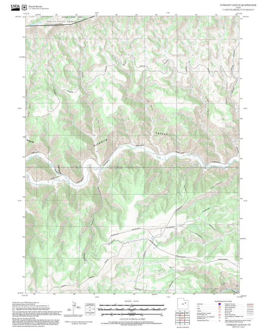 2025 Forest Service Topo Map of Currant Canyon Utah