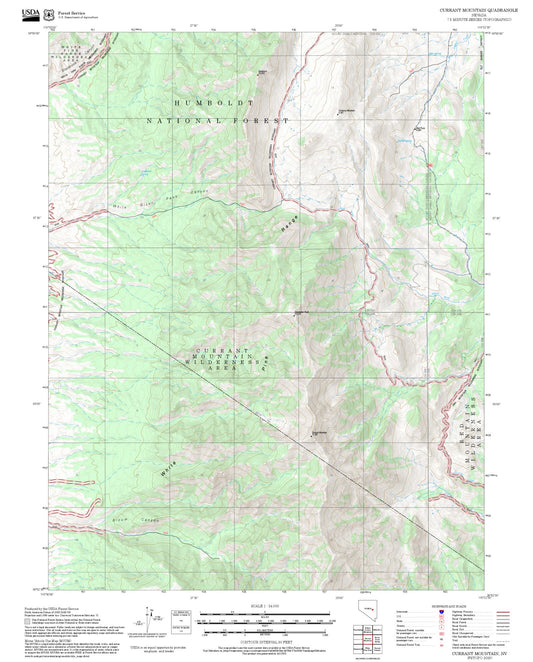 2025 Forest Service Topo Map of Currant Mountain Nevada