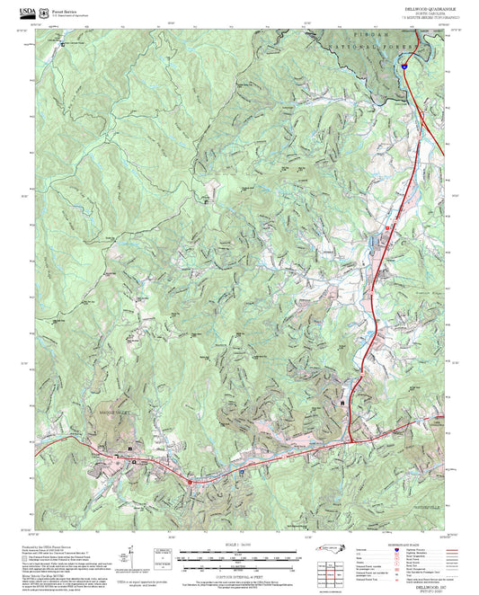 2025 Forest Service Topo Map of Dellwood North Carolina