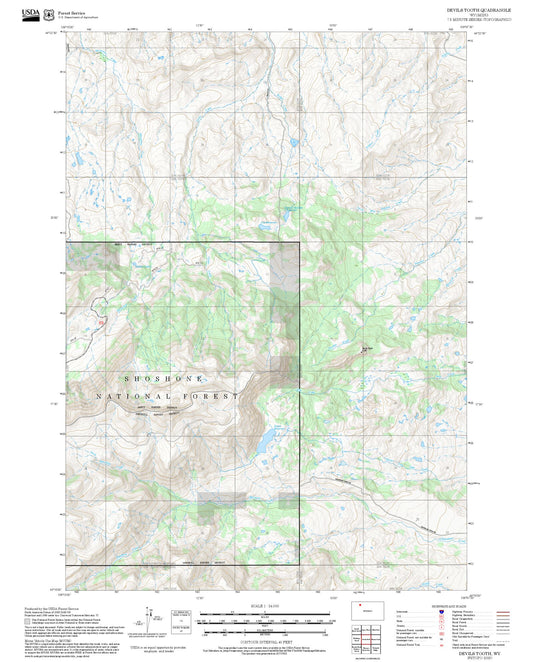 2025 Forest Service Topo Map of Devils Tooth Wyoming