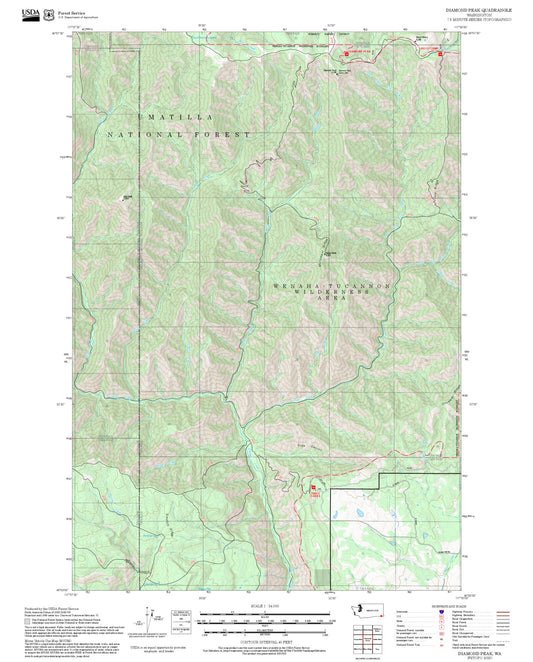 2025 Forest Service Topo Map of Diamond Peak Washington
