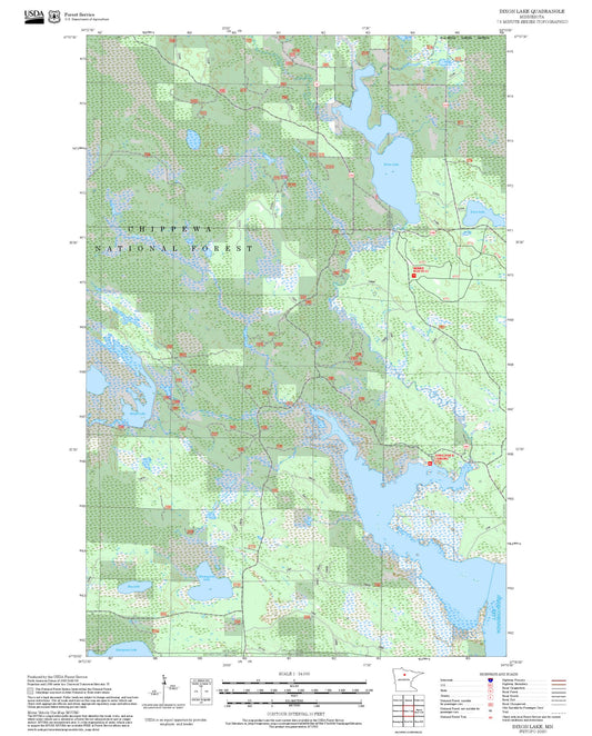 2025 Forest Service Topo Map of Dixon Lake Minnesota