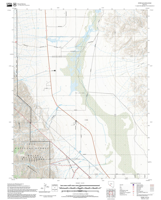 2025 Forest Service Topo Map of Dyer Nevada