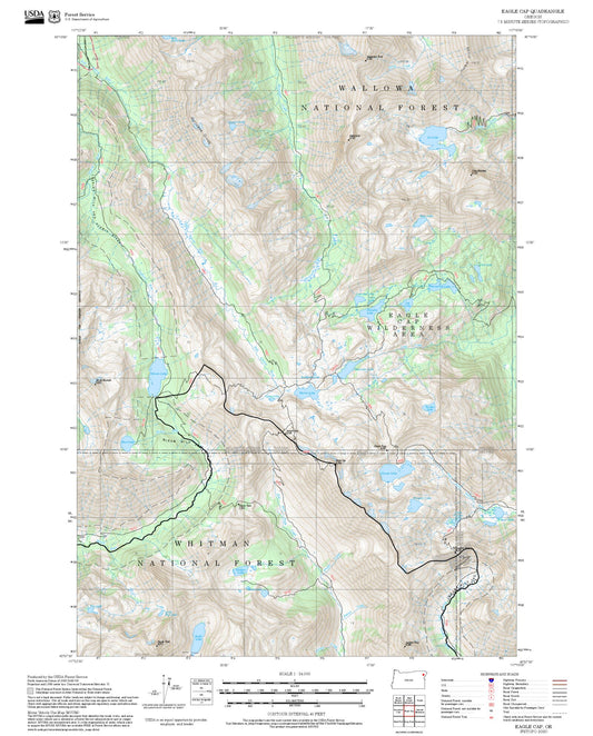 2025 Forest Service Topo Map of Eagle Cap Oregon