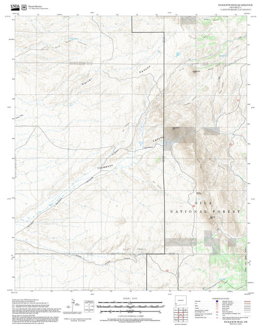 2025 Forest Service Topo Map of Eagle Eye Peak New Mexico