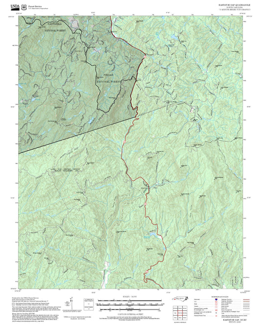 2025 Forest Service Topo Map of Eastatoe Gap North Carolina
