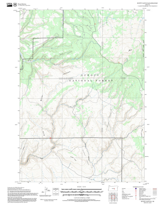 2025 Forest Service Topo Map of Egypt Canyon Oregon