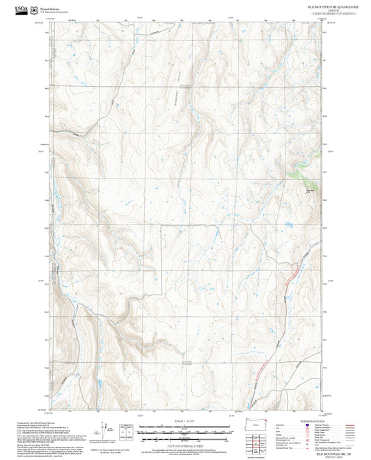 2025 Forest Service Topo Map of Elk Mountain SE Oregon